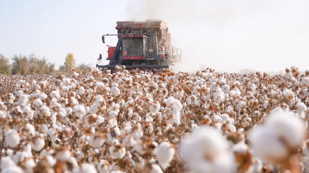 Day After the Call: US UFLPA Blacklist Expands by 43 Firms, Menswear Supply Chain Named for First Time