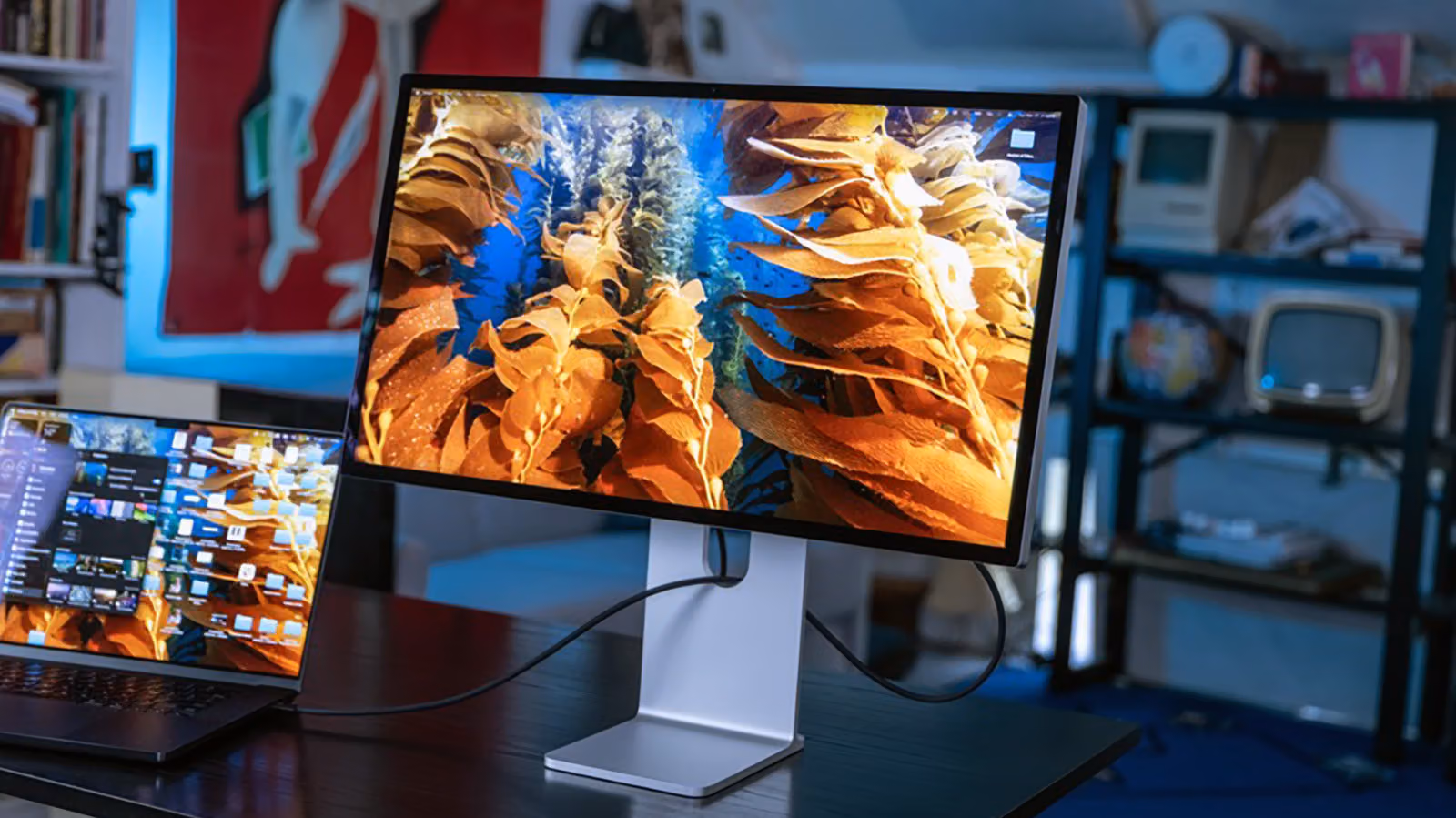 How Many External Displays Can Your MacBook Really Drive? It's the Chip, Not the Ports