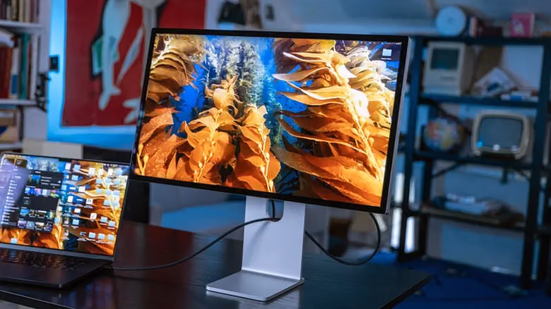 How Many External Displays Can Your MacBook Really Drive? It's the Chip, Not the Ports