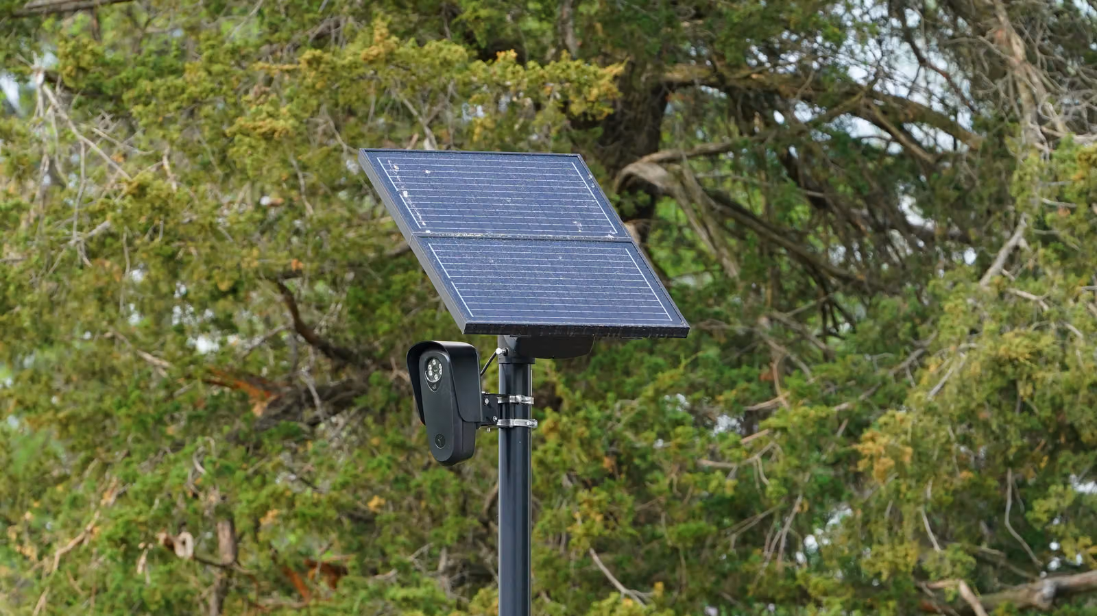 After a Minnesota Town's Flock Cameras Vanished Overnight, the Company Finally Remembered to Fix Its Rules