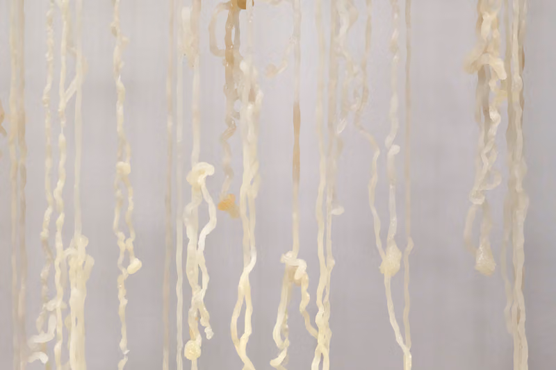 When Earth Stops Being Habitable: This NYC Group Show Swaps Escape Bags for Myth and Memory
