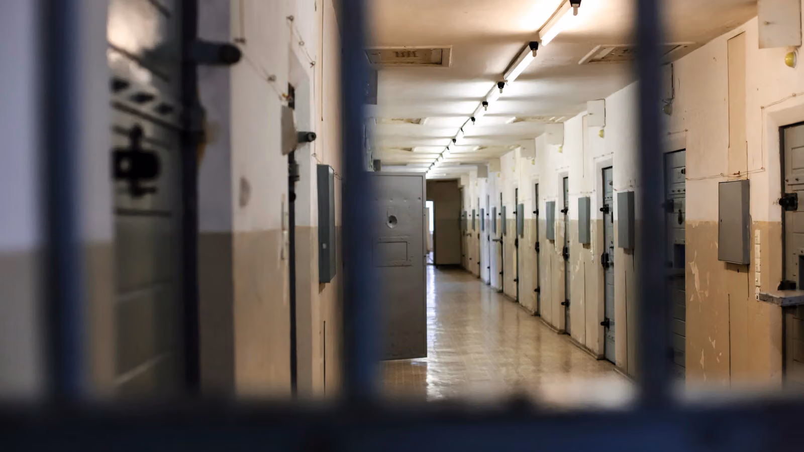 Withdrawals Frozen Overnight: Delio CEO Gets 15 Years in $50 Million Fraud Case