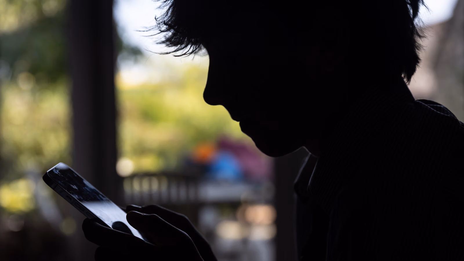Trying to Block Teens from Social Media, France's Top Court Blocks the Whole Nation's Verification Problem First