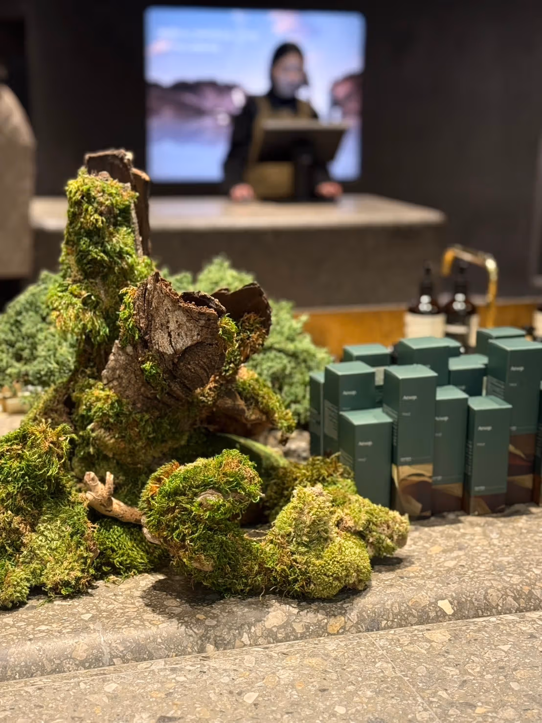 Aesop Taichung |ภาพธีม