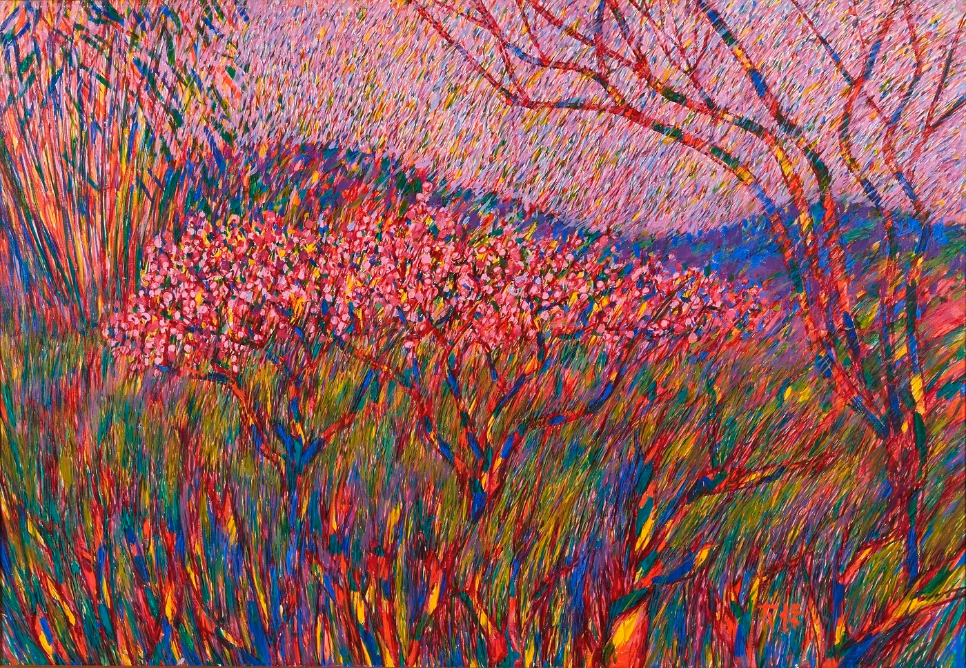 이대원농원, 1987, 색과 가지