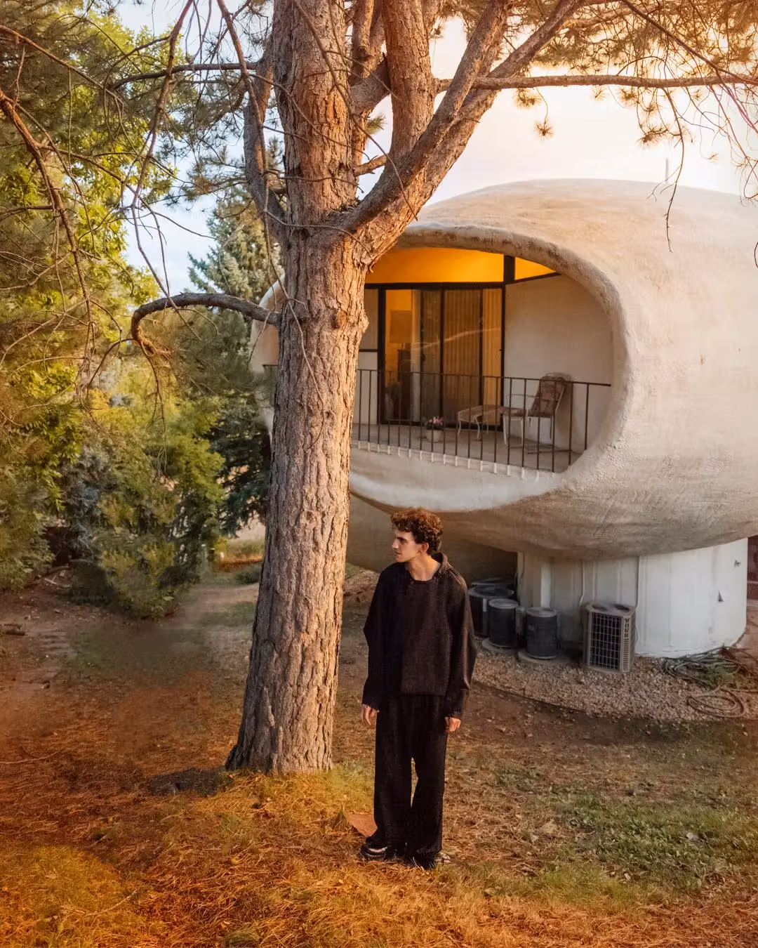 VAALS于Mushroom House场景拍摄