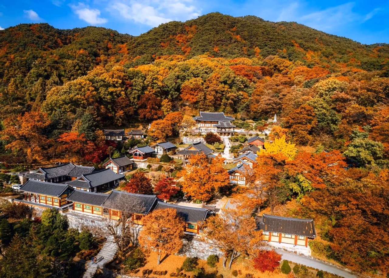 영주 부석사와 주변 단풍