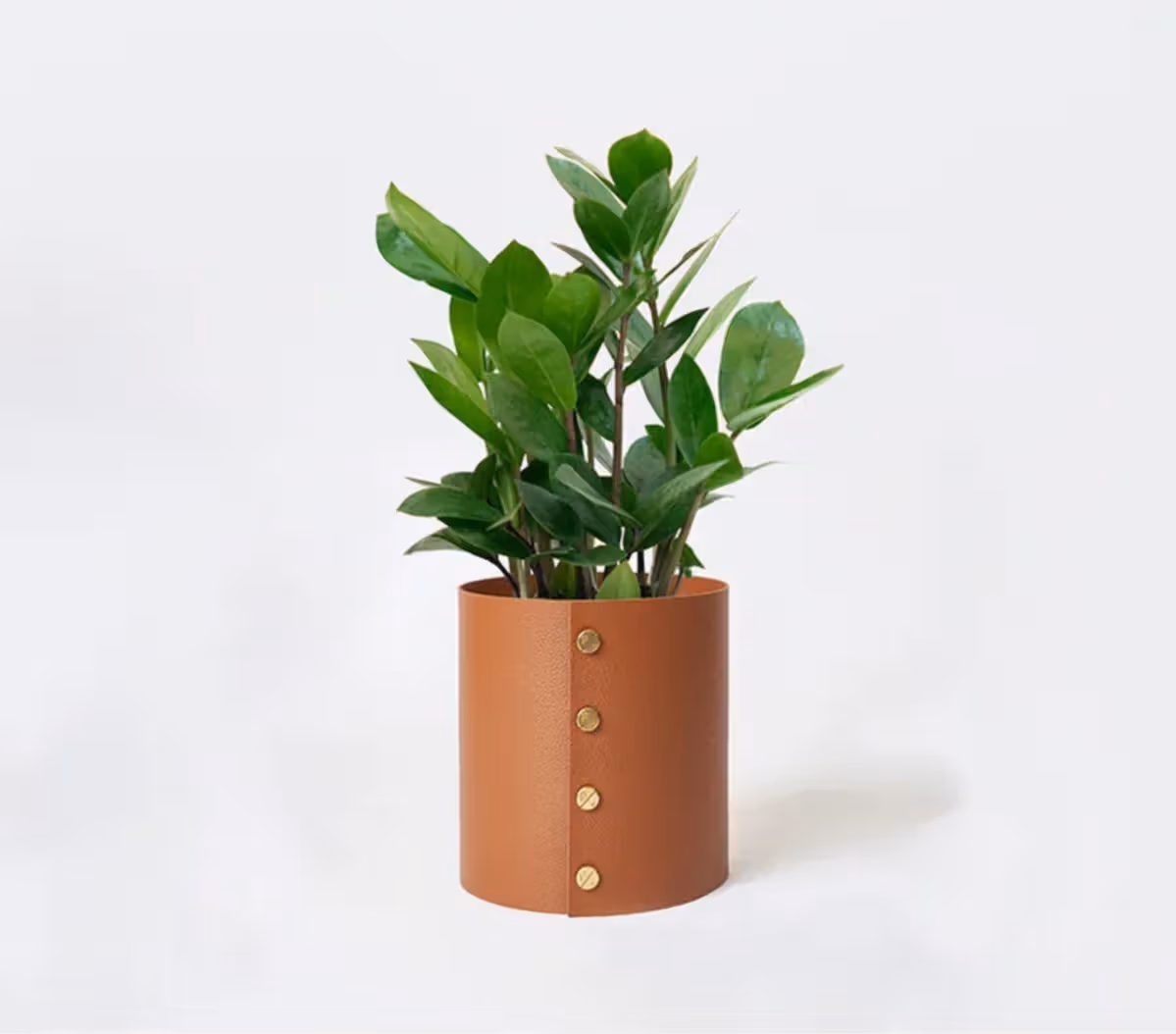 PLATS盆器外罩與植物