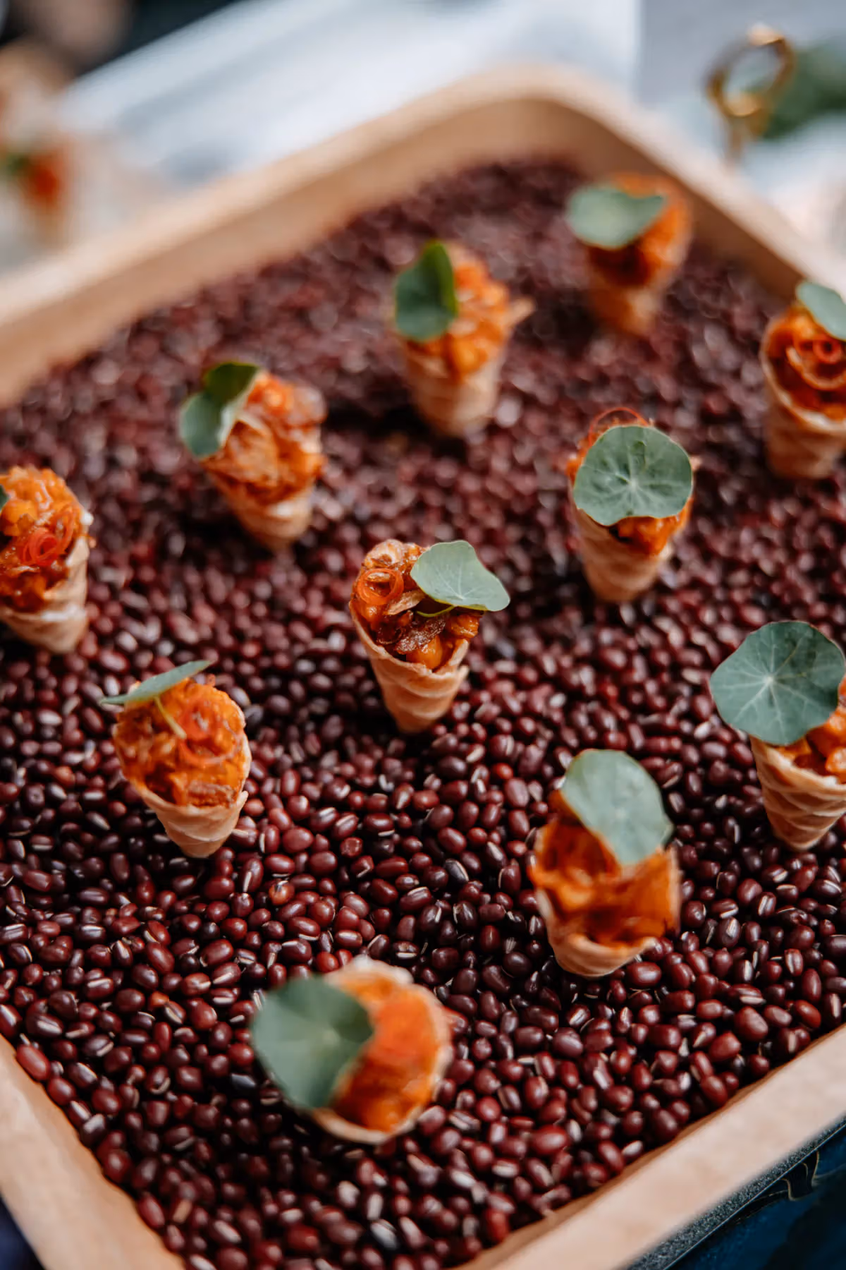 Finger food at the culinary announcement, not guaranteed dishes in the booked menus.
