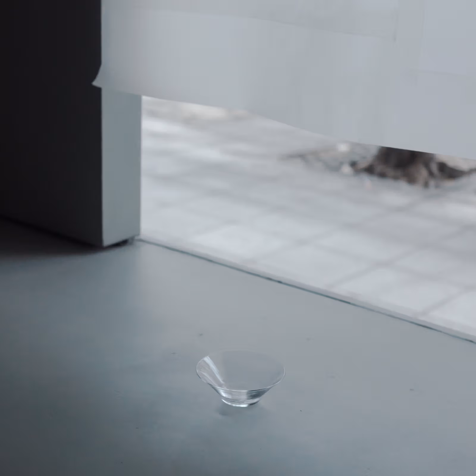 Official imagery of a cup and window light