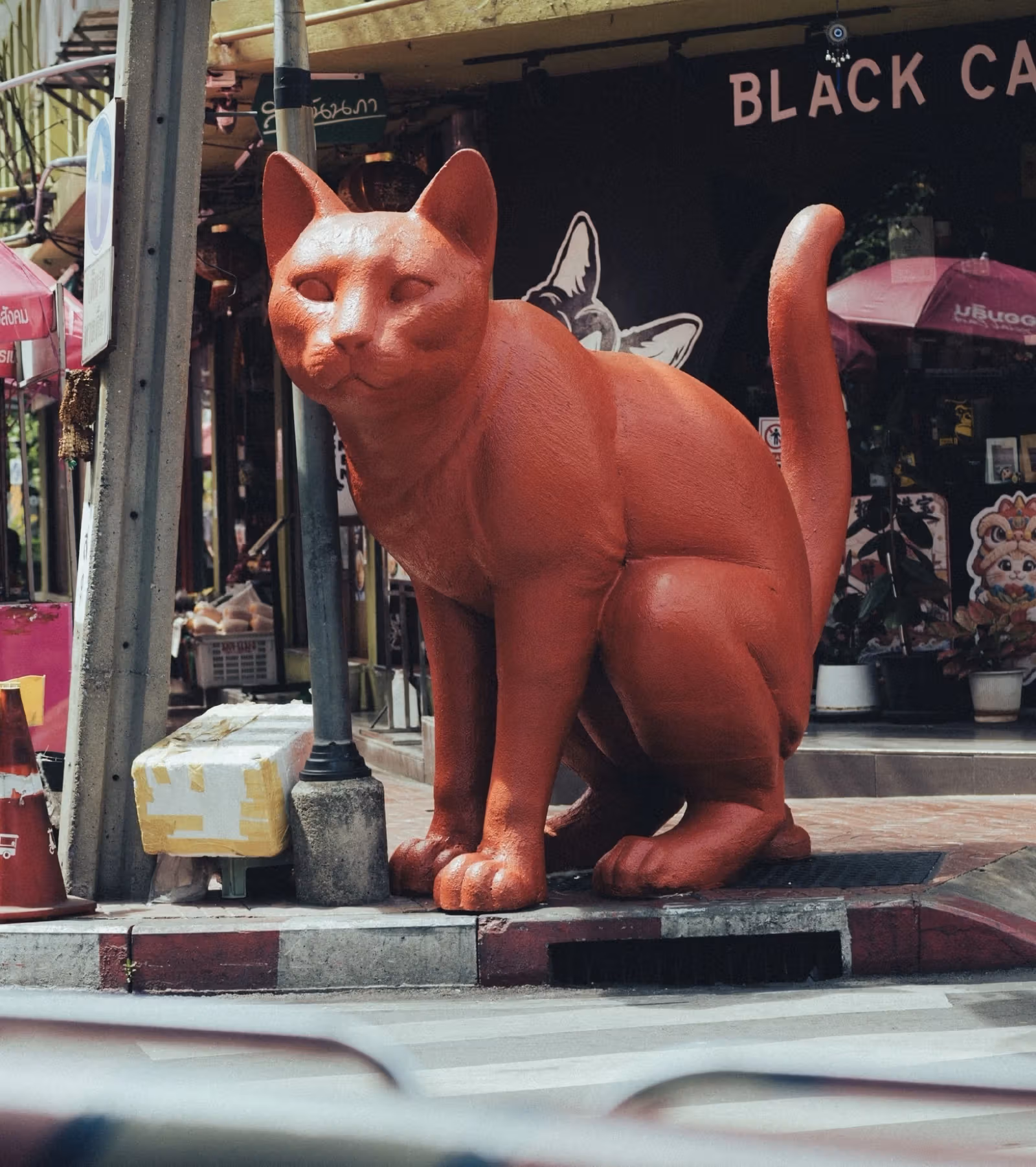 Storefronts and an installation in Ari