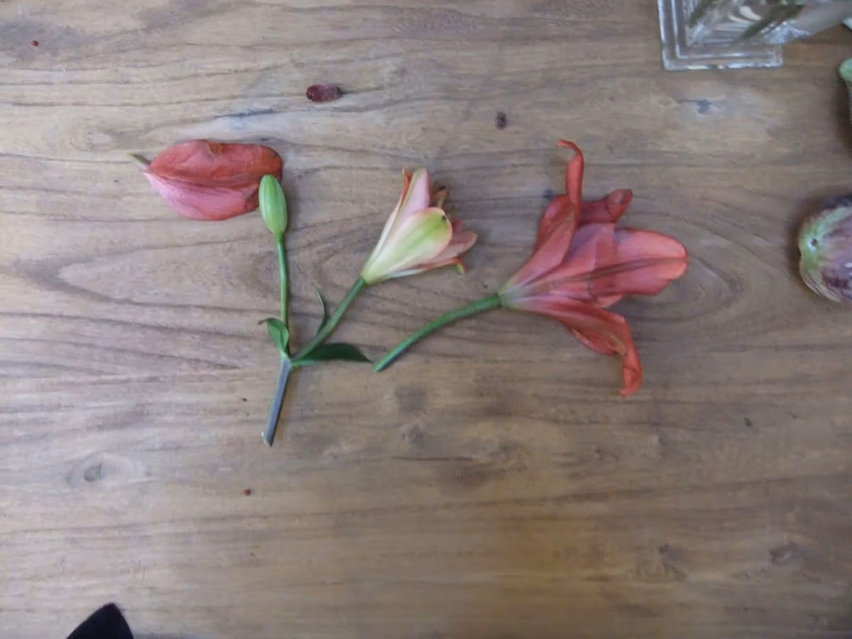Flower props laid on a wooden table create a local color contrast.