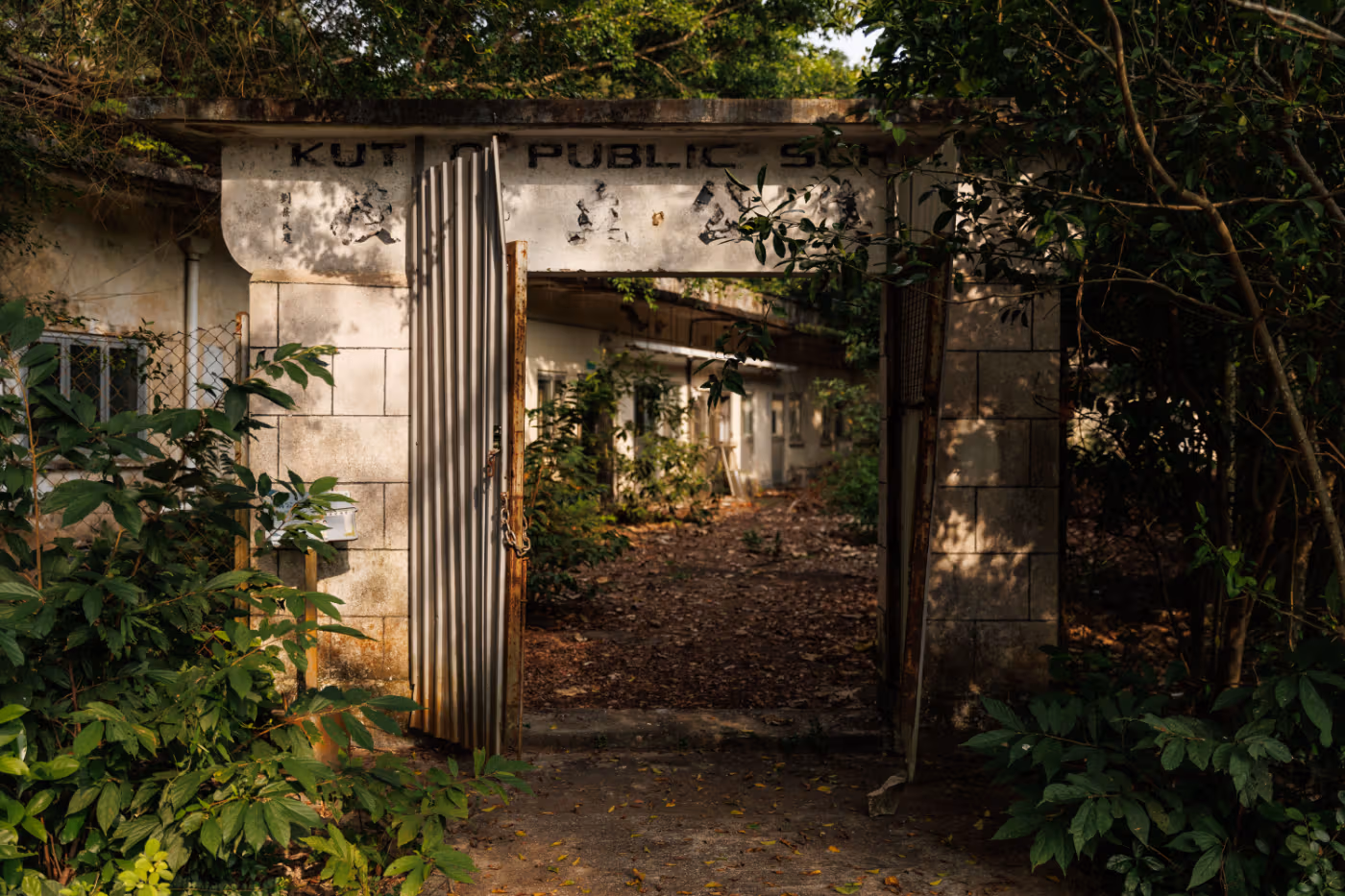 Entrance to Kat O Public School surrounded by trees