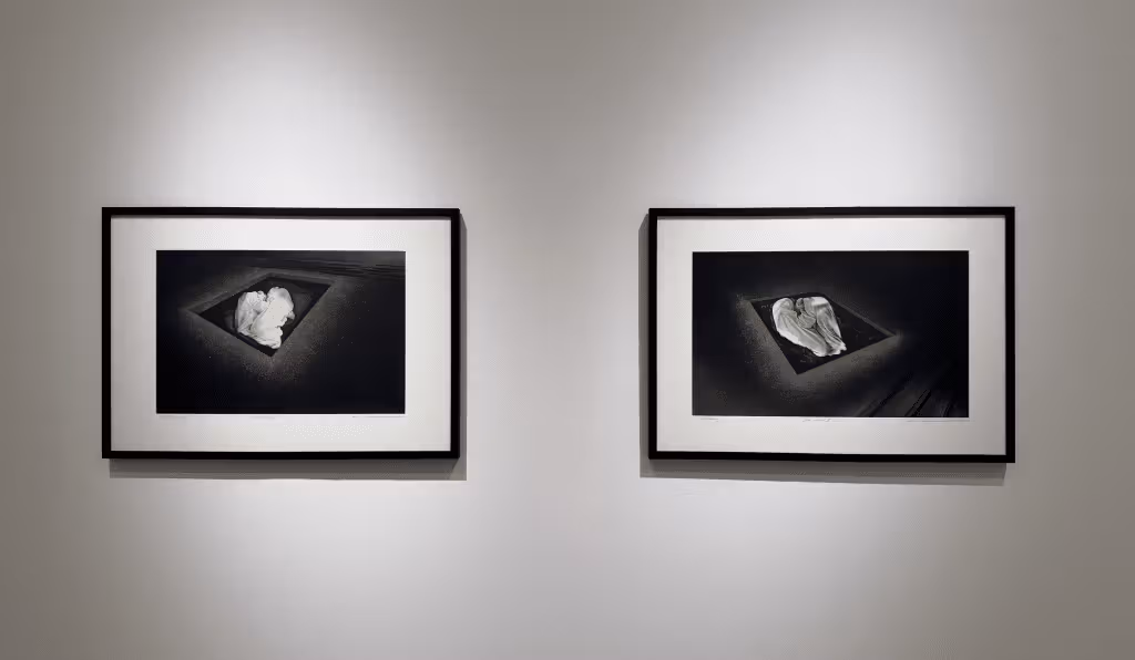 两幅黑框作品中的包裹形体