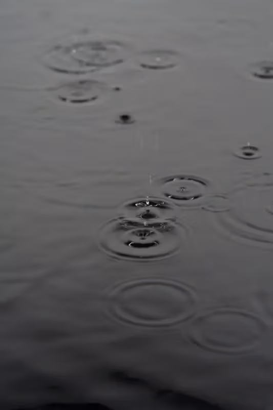 水面の変化を示すwater state 1の細部。