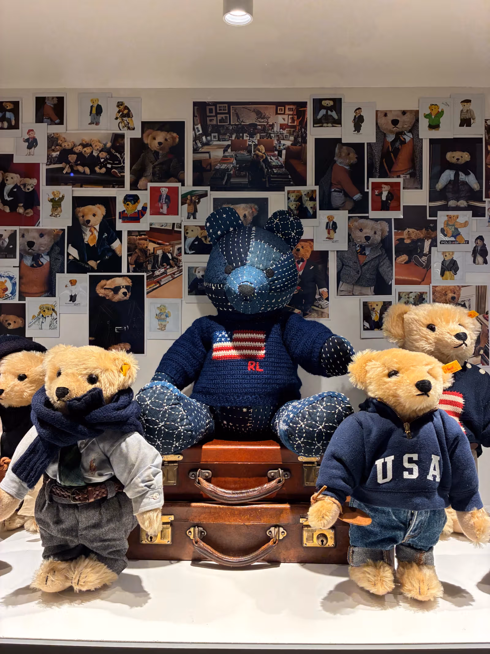 Polo Bearและการจัดแสดงคลังสะสม