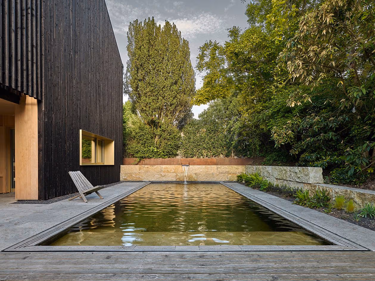 House in Process garden natural pool