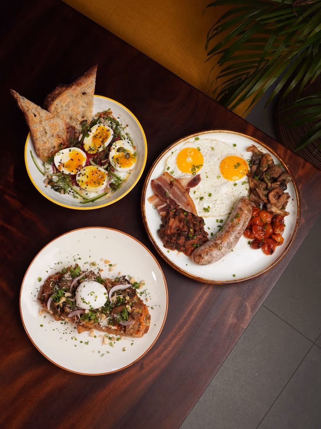 Sun Society 공식 음식 부감 사진. 아침 플래터, 달걀 요리, Mushroom Toast 세 접시