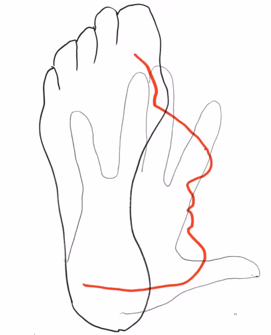 Marina Abramović 书中手足交叠的线条画
