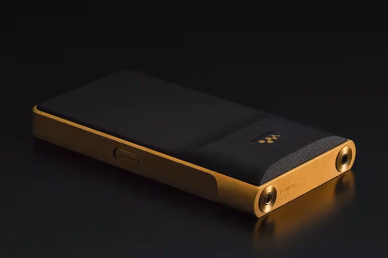 WM1ZM3 black-and-gold rear and headphone sockets