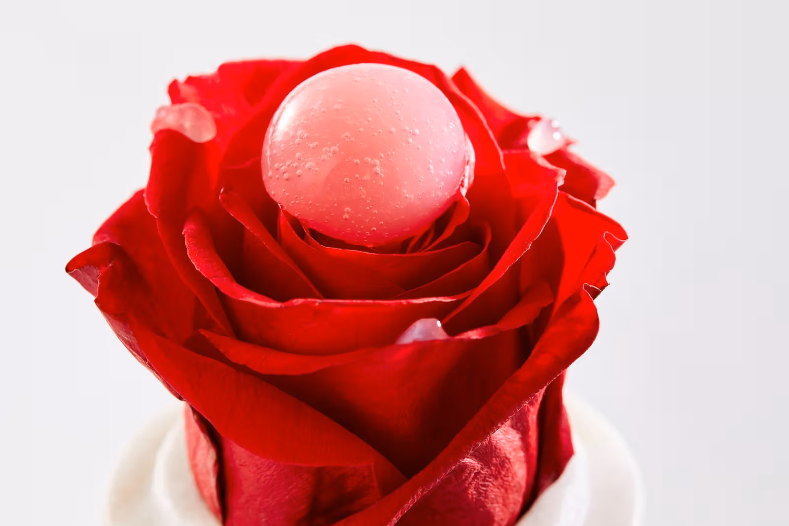 Pink spherical appetiser placed at the centre of red rose petals
