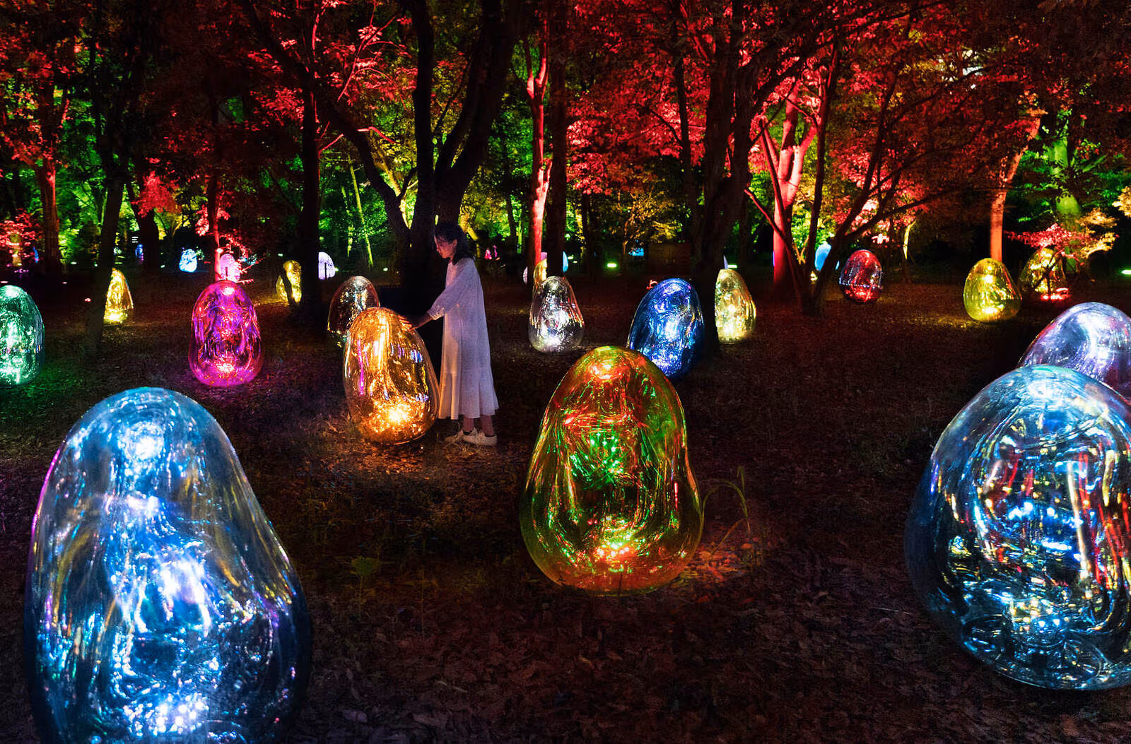 チームラボ 浜離宮が11月25日開幕：江戸の庭園を歩く夜のアート、予約と料金を紹介