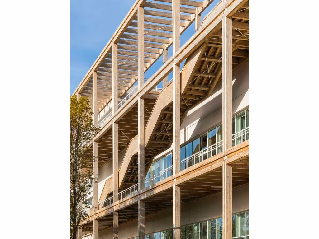 Timber walkways and large stair at the Massy building