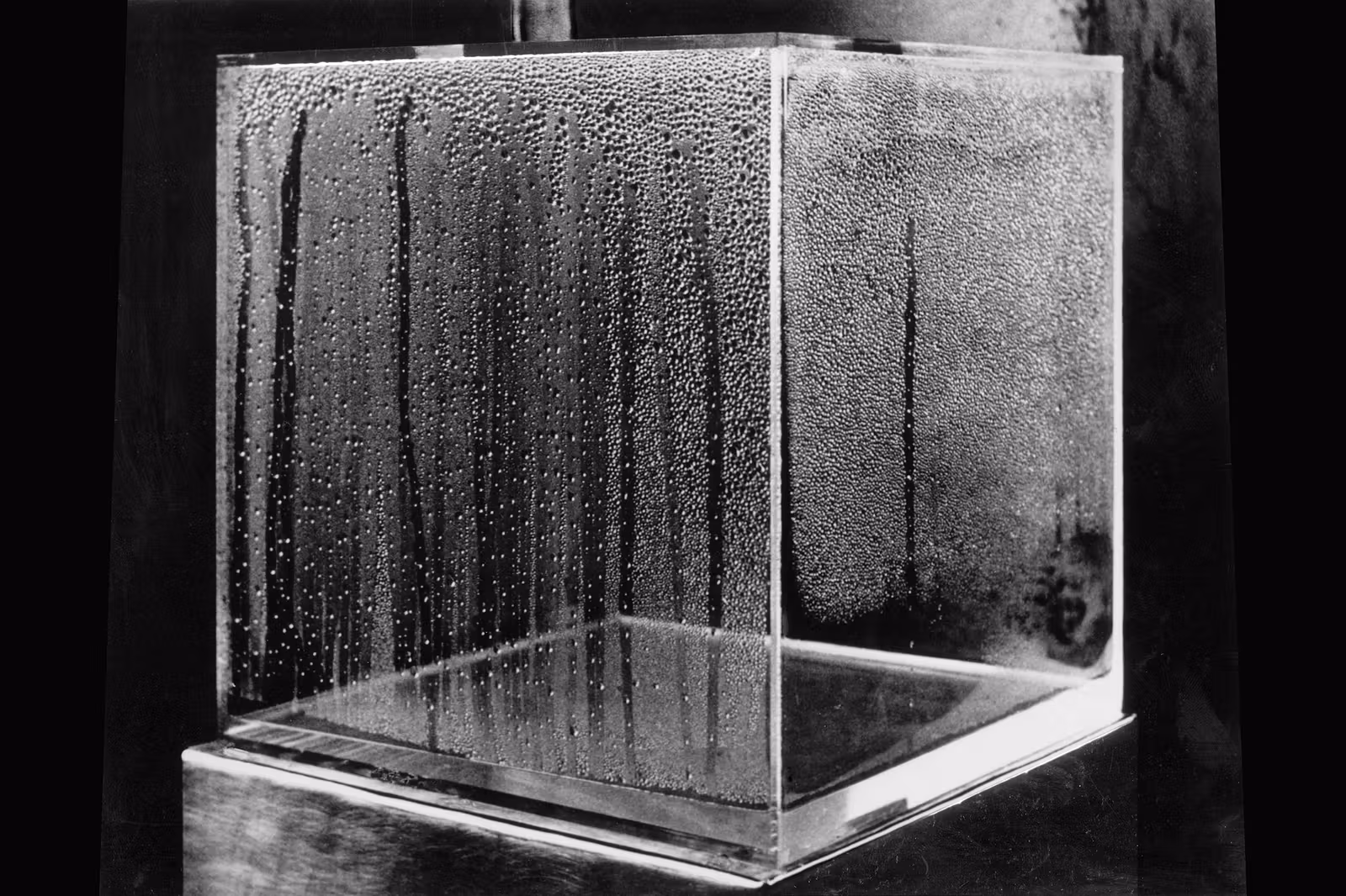 透明なアクリル立方体の内部に結露した水滴