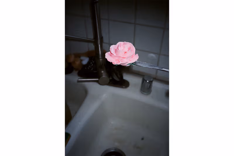 ดอกไม้สีชมพูข้างก๊อกน้ำในห้องน้ำและอ่างสีขาว