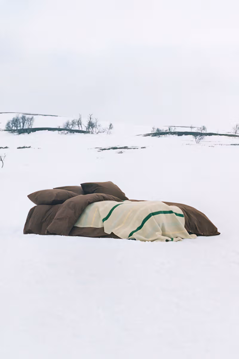 雪地中的棕色枕头被褥与奶油绿条纹毯