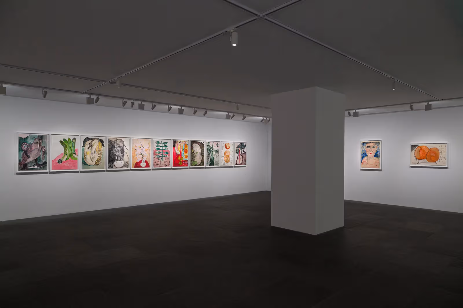 《日日耕》展覽現場，一排裝框作品呈現人物、蔬果與植物圖像。