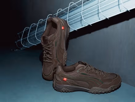 ภาพแบรนด์ของ Rollcat Winterized ที่มีอัปเปอร์สีเข้มและเส้นสีเขียว
