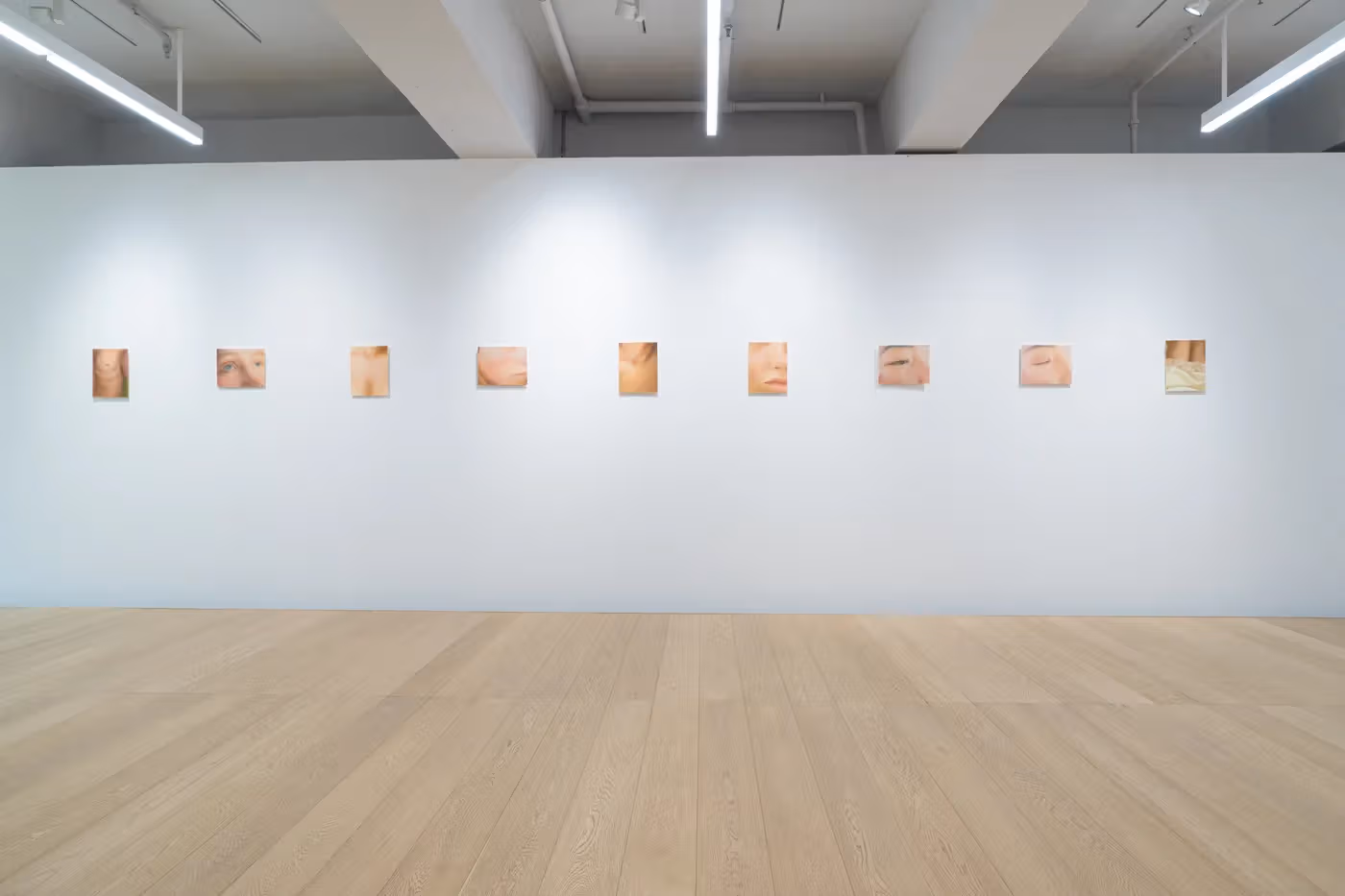 Small paintings form a horizontal sequence on a white wall, separated by generous gaps.