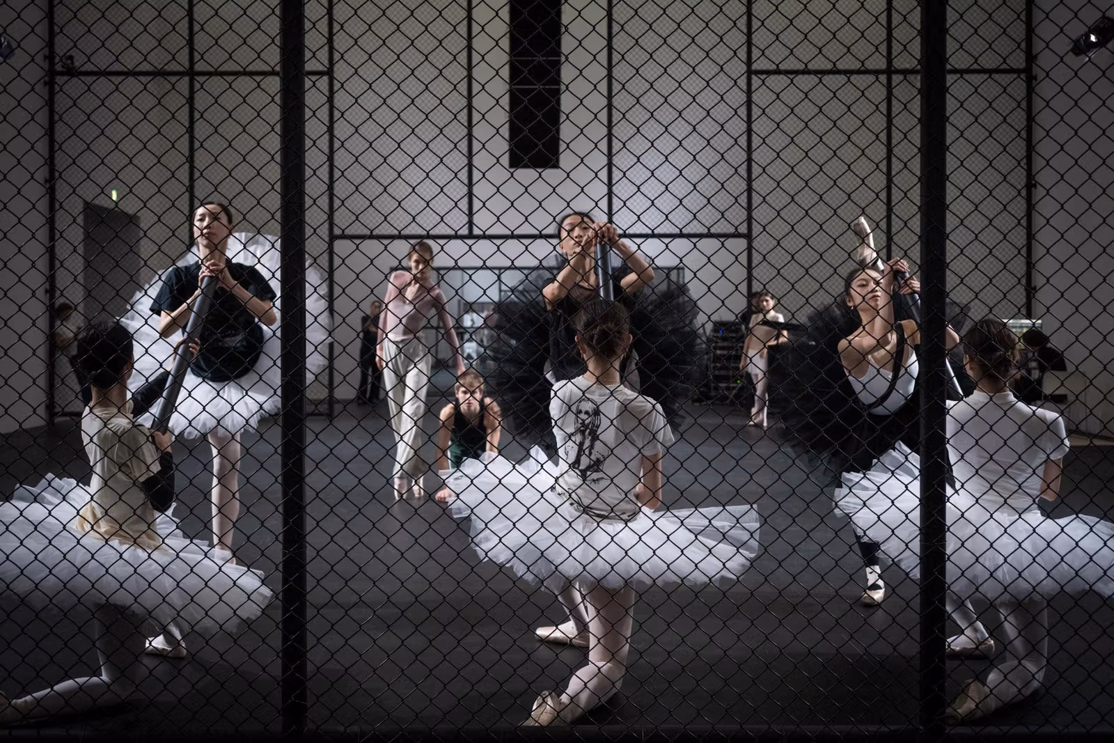 House of Swans performance with Hong Kong Ballet dancers, a recorded moment rather than a scene repeated daily.